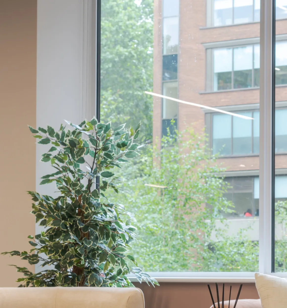 Planting beside full-height windows looking out over the street